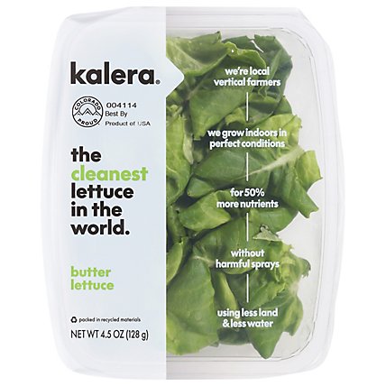 Lettuce Endive - Each - Image 1