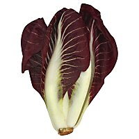 Lettuce Endive Red Belgian - Image 1