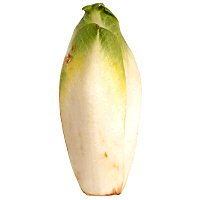 Belgian Endive Lettuce - Image 1