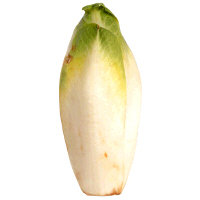 Belgian Endive Lettuce