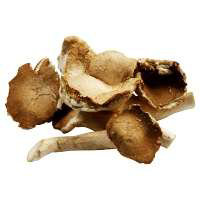 Black Trumpet Mushrooms - .25 Lb