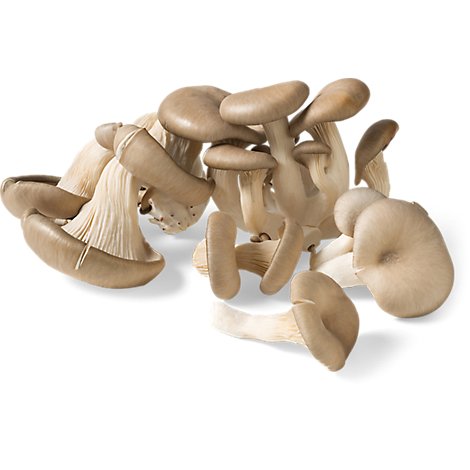 Mushroom Oyster Fresh Mushroom - .25 Lb