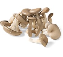 Oyster Mushrooms - 0.25 Lb