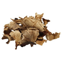 Chanterelle Mushrooms - 0.25 Lb