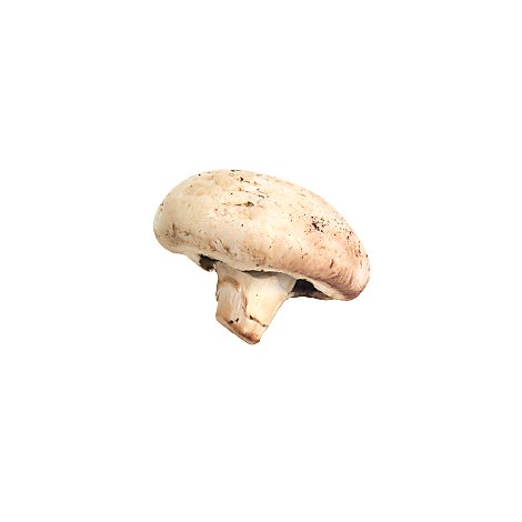 Button Baby Mushroom - 1 Lb