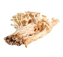 Mushroom Enoki Mushroom - .25 Lb