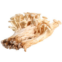 Mushroom Enoki Mushroom - .25 Lb