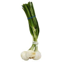 Chipolline Onion