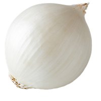 White Onion - Image 1