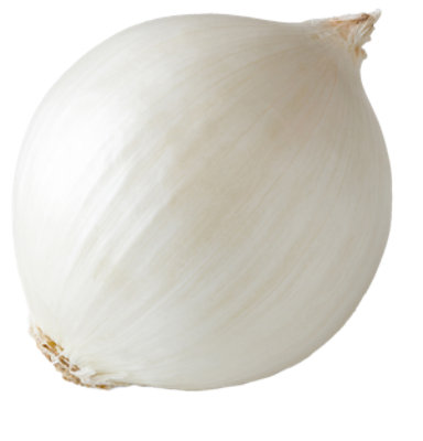 White Onion