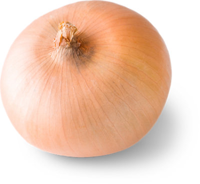 Yellow Onion - Image 1