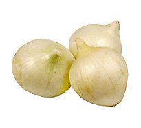 Onions Boiler