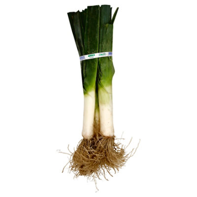 Leek - Image 1