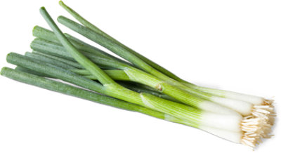  Green Onions - 1 Bunch 