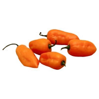 Peppers Habanero Gold - 0.25 Lb - Image 1