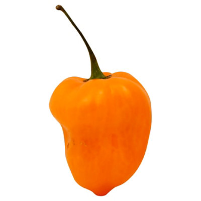 Habanero Peppers - Image 1