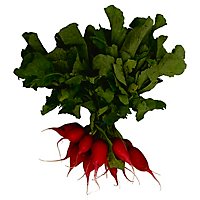 Red Radishes - 1 Bunch - Image 1
