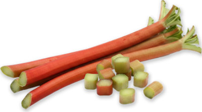 Rhubarb - Image 1
