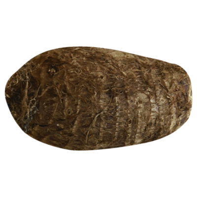 Taro Root - Image 1