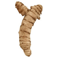 Turmeric Root - Image 1