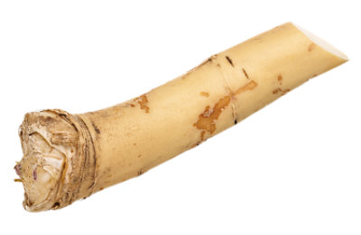 Horseradish Root