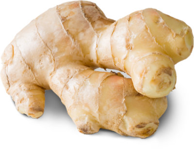 rhizome of ginger