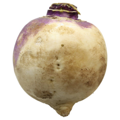 Purple Top Turnip