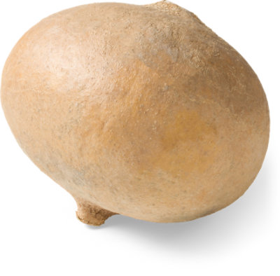 Jicama - Image 1