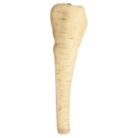 Parsnip - Image 1