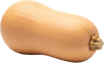 Butternut Squash