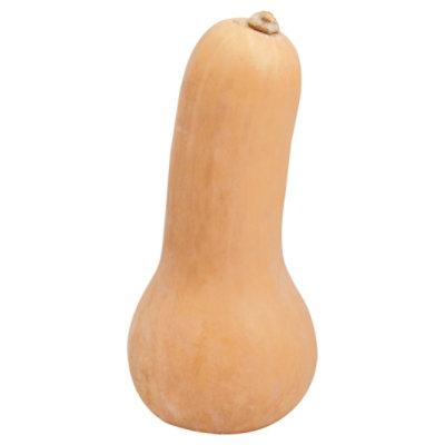 Butternut Squash - Image 1