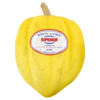 Squash White Acorn - Image 1