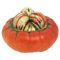 Turban Squash - Image 1