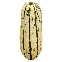 Delicata Squash