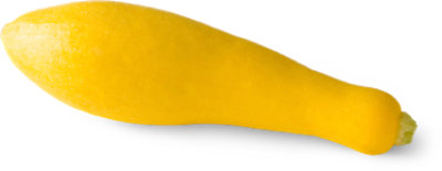 Yellow Crookneck Squash