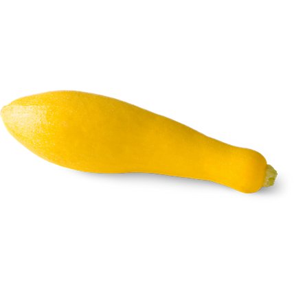 Yellow Crookneck Squash - Image 1