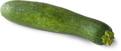 Green Zucchini Squash