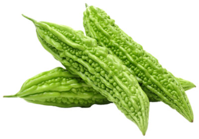Squash Bitter Melon