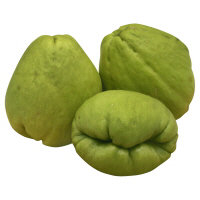 Squash Chayote