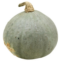 Hubbard Squash - Image 1