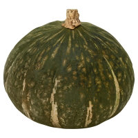 Squash Buttercup - Image 1