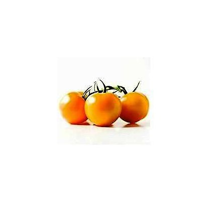 On The Vine Tomato Orange - Image 1