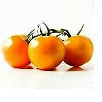On The Vine Tomato Orange - Image 1