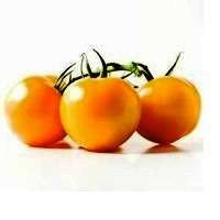 On The Vine Tomato Orange - Image 1