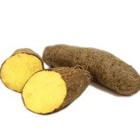 When We Roast Di Yellow Yam – JamaicaJamaica