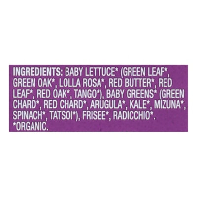 O Organics Organic Spring Mix - 16 Oz - Image 4