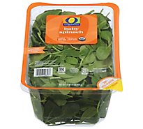 O Organics Organic Baby Spinach - 16 Oz