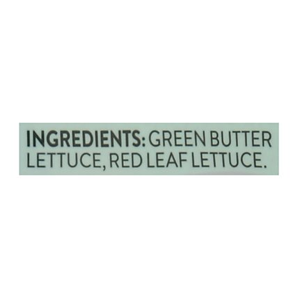 Fresh Express Greens Sweet Butter Salad - 6 Oz - Image 5