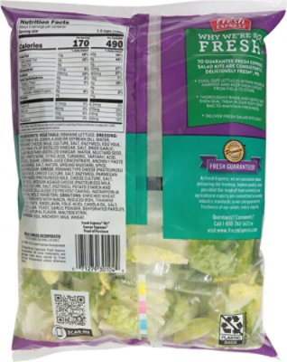 Fresh Express Caesar Supreme Salad Kit - 10.5 Oz - Image 6