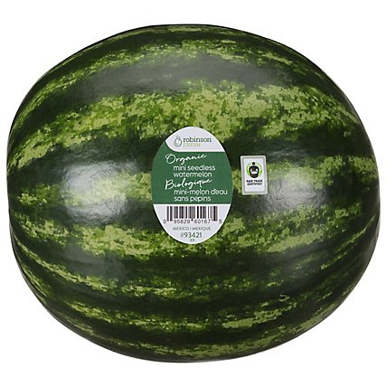 Watermelon Seedless Organic - Image 1